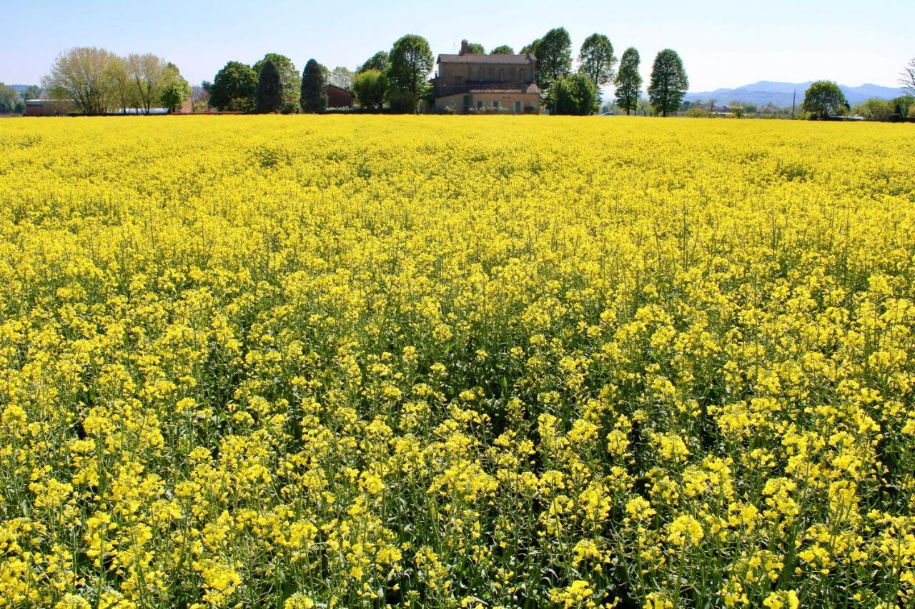 Agriturismo Ravaglia Grande Castel Guelfo Di Bologna Ngoại thất bức ảnh